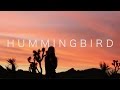 Equanimous Hummingbird Ft Cyndy Fike mp3