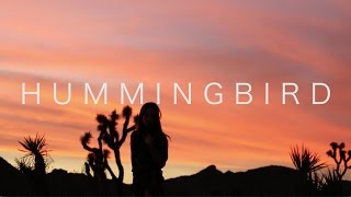 Vignette de la vidéo "Equanimous - Hummingbird ft. Cyndy Fike"