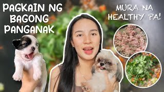 WHAT I FEED MAMA DOG AFTER GIVING BIRTH | PAGKAIN NG BAGONG PANGANAK NA SHIH TZU