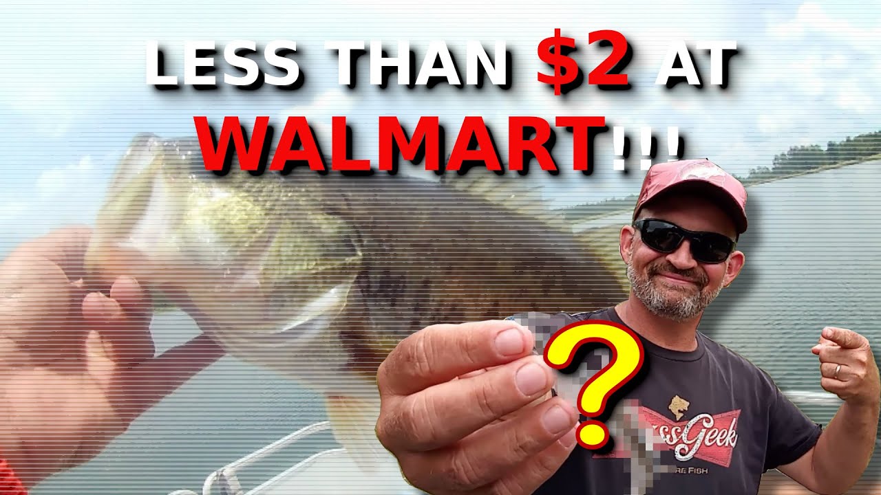 I Caught TONS Of NICE Bass ALL DAY LONG With This CHEAP Hack!!!!
