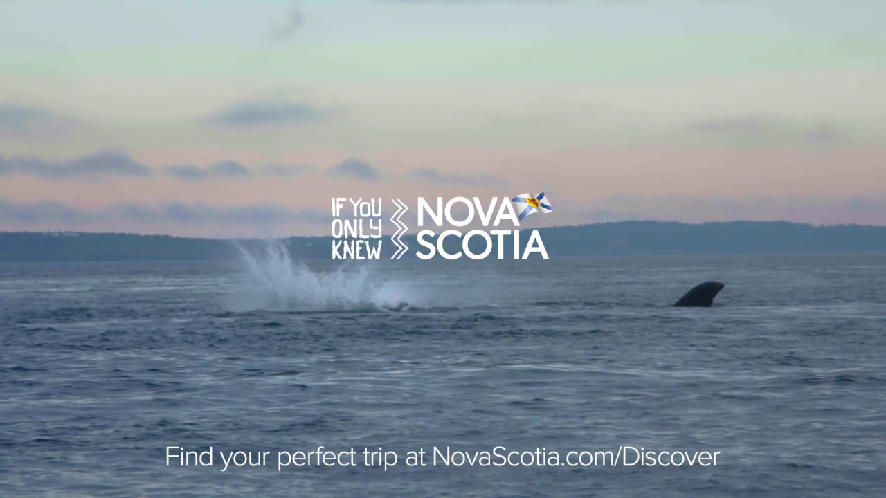 Whale Watching in Nova Scotia - YouTube