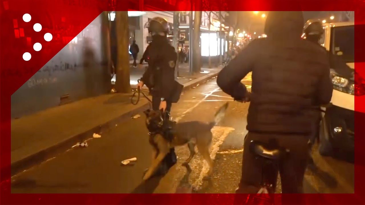 Parigi, scontri proseguono in serata: dispiegati anche i cani antisommossa della polizia