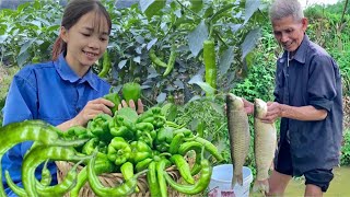 18 year old girl harvests green peppers to sell, catches fish, cooks, lives with nature