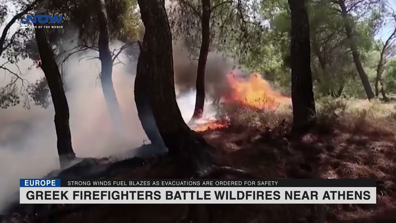 Greek Firefighters Battle Wildfires Near Athens