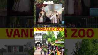 Vandalur Zoo வரலாறு | Kubera Temple | Chennai history #shorts