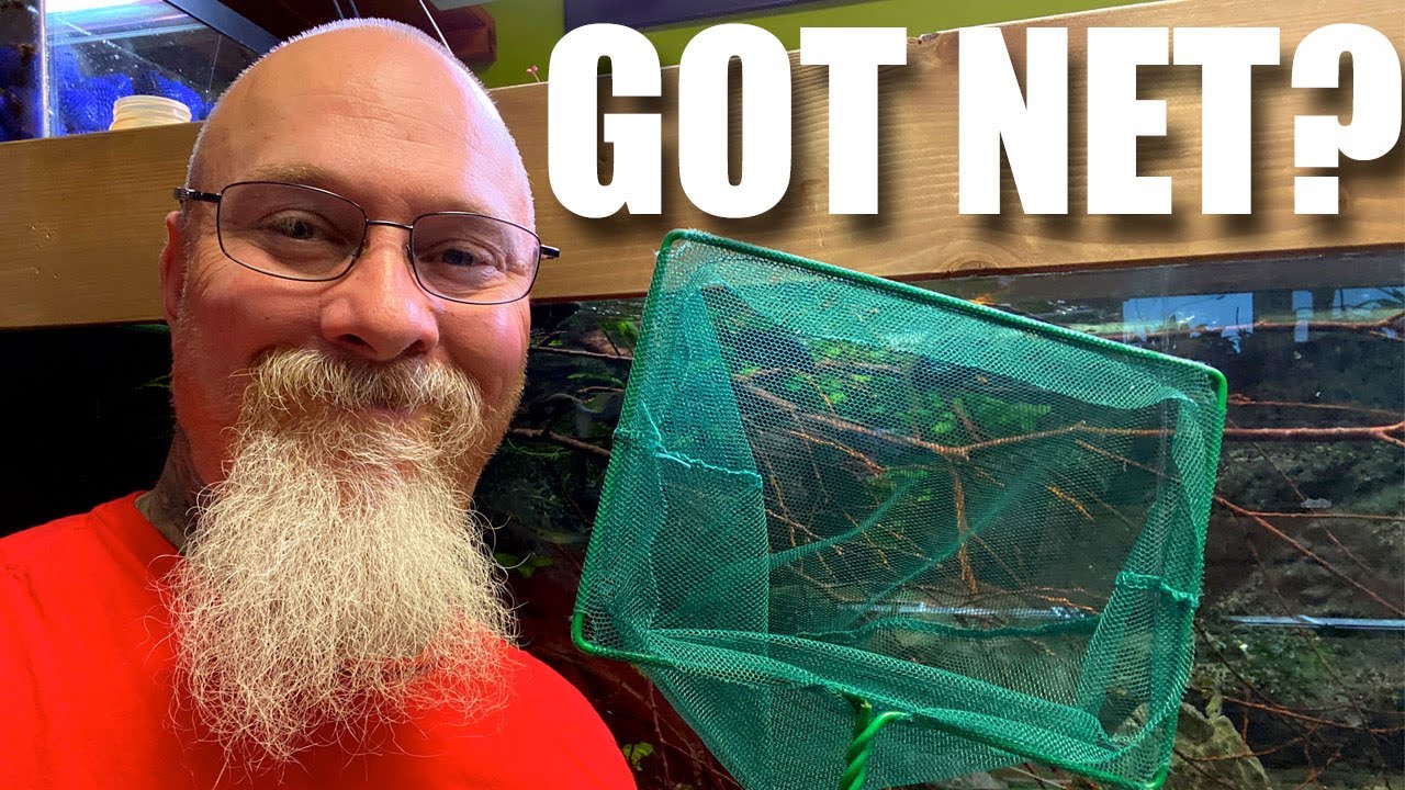 Let's talk about Aquarium nets: How to properly choose the correct net for  your needs 