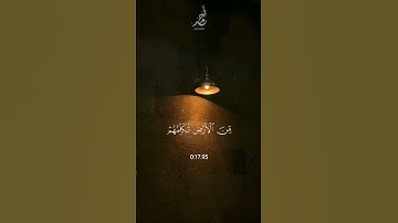 سورة النمل | القارئ : #عبدالرحمن_مسعد #quran #راحة_نفسية #viral #foryou #اجر_لي_ولكم 🤍.