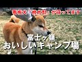 【富士ヶ嶺おいしいキャンプ場】ファミリーキャンプ｜柴犬/子ども用ひろば/おいしい森（山梨県南都留郡）