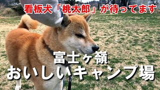 【富士ヶ嶺おいしいキャンプ場】ファミリーキャンプ｜柴犬/子ども用ひろば/おいしい森（山梨県南都留郡）