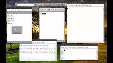 1.2 SAS Libraries (Linux)