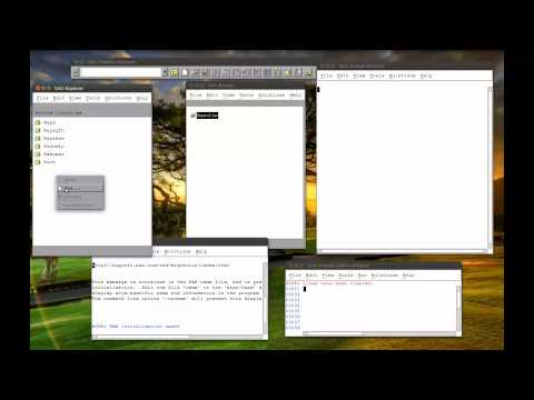1.2 SAS Libraries