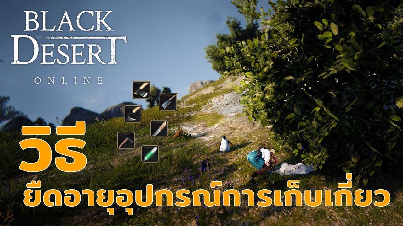 [BDO] วิธียืดอายุของอุปกรณ์เก็บเกี่ยว (Durability decrease resistance