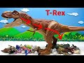 Giant Dinosaur Tyrannosaurus | Dinosaur Battle With 3 Volcano 티라노사우루스 먹방 배탈