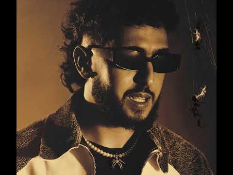 Shaw X AYA ZAYGH Remix