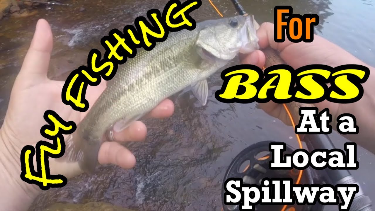 FLY FISHING for BASS at a Local Spillway YouTube