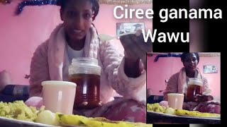 Download Lagu Ciree haa nyaanu wan ajaa'iba hojaadhe haar'a wawu ganamni Koo kana fakkata  MP3