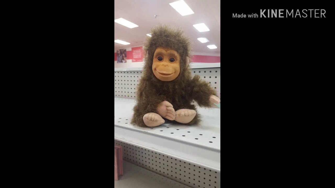 New factions server just released! 1.8 - 1.14 ( IP IN DESC)