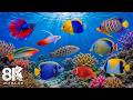 Underwater Wonders 8K - Amazing Fish, Coral Reefs &amp; Sea Animals - Fish Tank Sounds for Deep Sleep