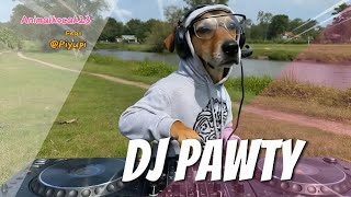 Dj Pawty Jogetin Adjaremix Music 2026
