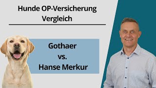 Hunde OPVersicherung Vergleich/Test  TOP Tarife Gothaer und Hanse Merkur