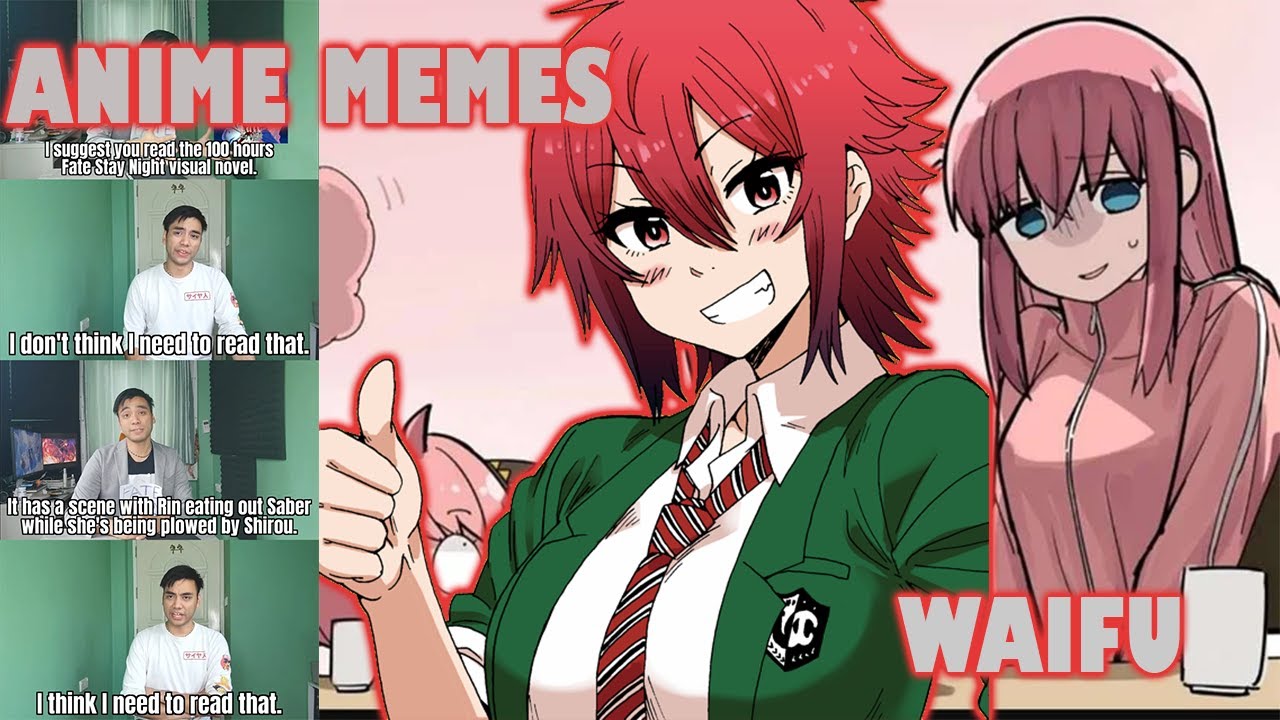 omg-waifu-anime-memes-the-best-cute-anime-girls-youtube