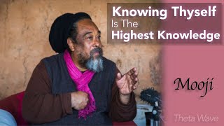 Knowing Thyself Is The Highest Knowledge - Mooji Theta Waves