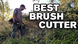 Best Brush Cutter Weed Eater Blade for Chopping Down Blackberry Bushes and Mulching Thorny Vines