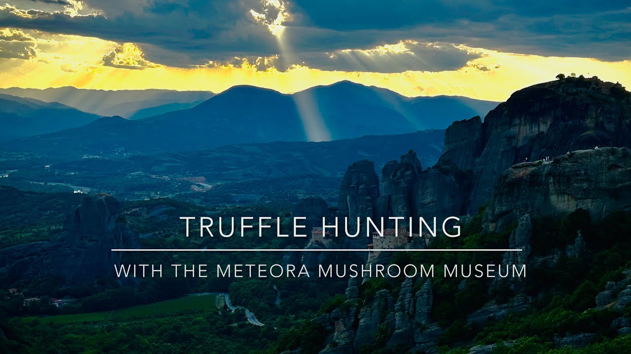 Planet Fungi goes truffle hunting