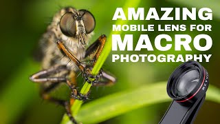 Getting Started With Macro Photography Skyviks Signi 20X 25Mm Affordable Mobile Macro Lens