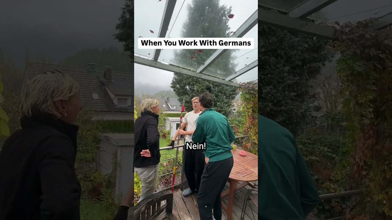 When You Work With Germans