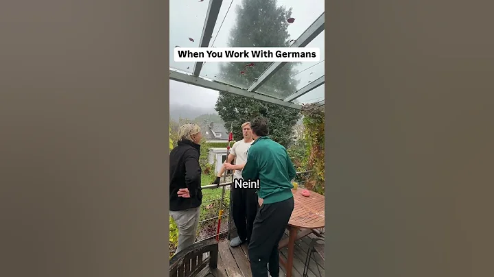 When You Work With Germans