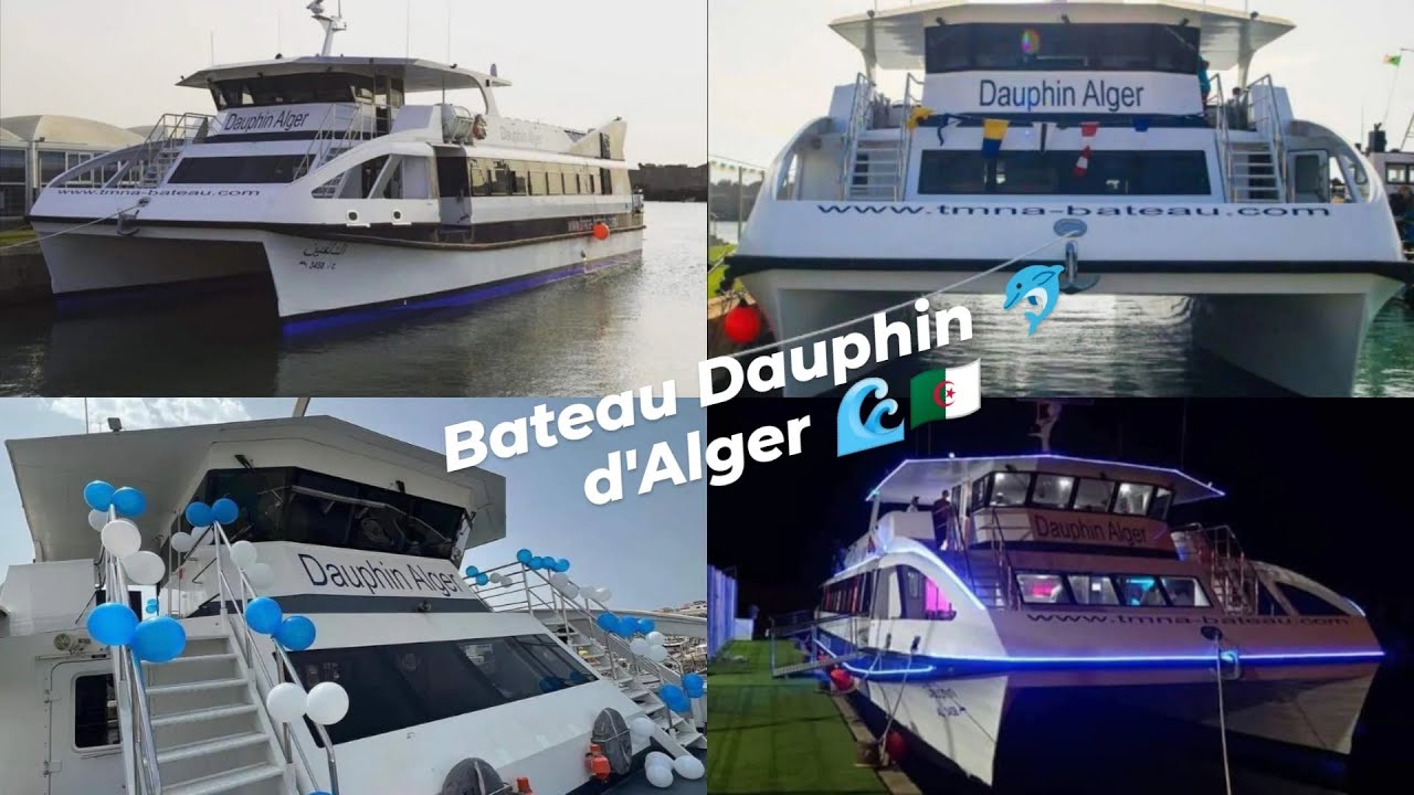 balade en bateau Dauphin 🐬 🌊d'Alger ( la Madrague) أجمل جولة بحرية ⛴️ باخرة دولفين الجرائر العاصمة