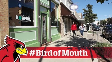 My Redbird life in Uptown Normal