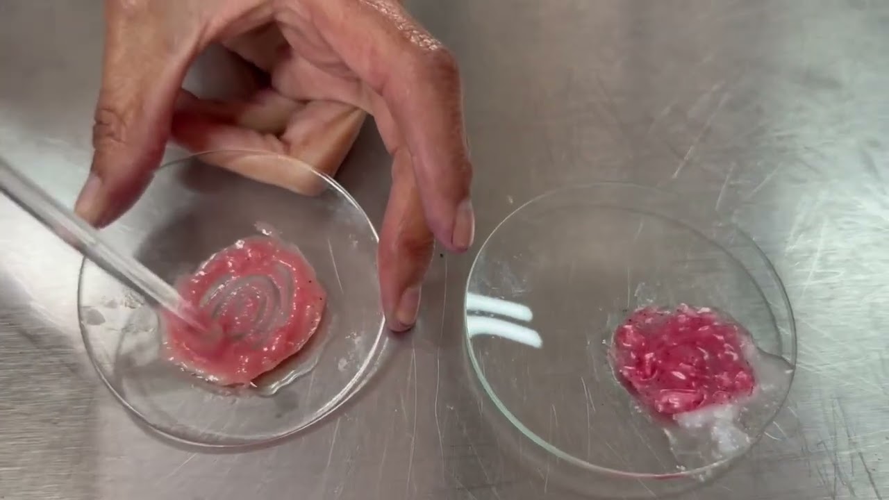 Química 2. Práctica No. 8 