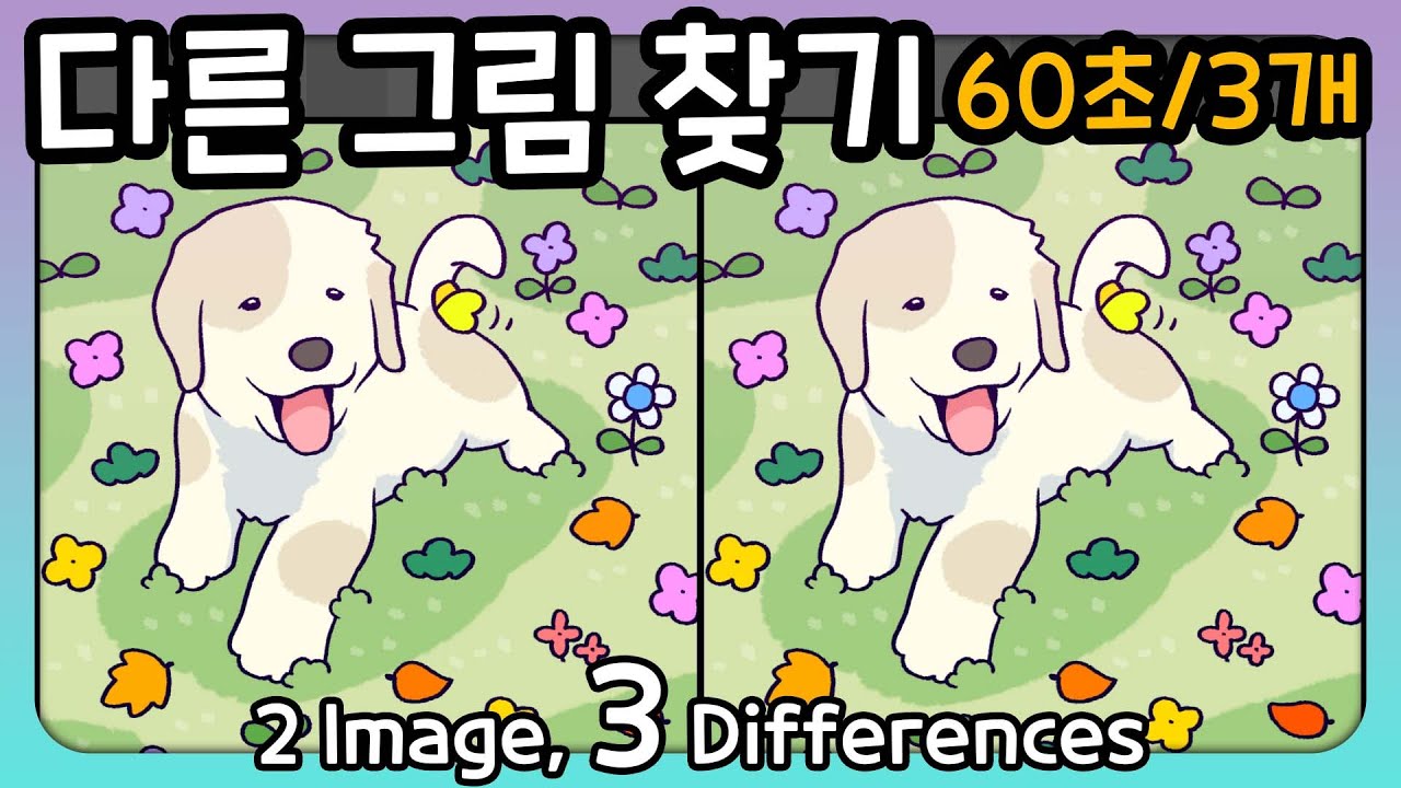 다른 그림 찾기 -60초 안에 다른 그림 3개를 찾아보세요- - YouTube