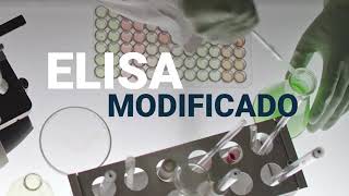 CHORUS TRIO DIESSE multiparametric system for immunometric assay, ИФА анализатор заболеваний