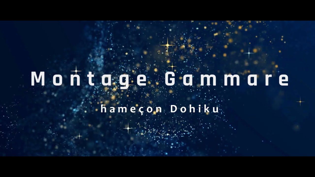 Montage Gammare Dohiku