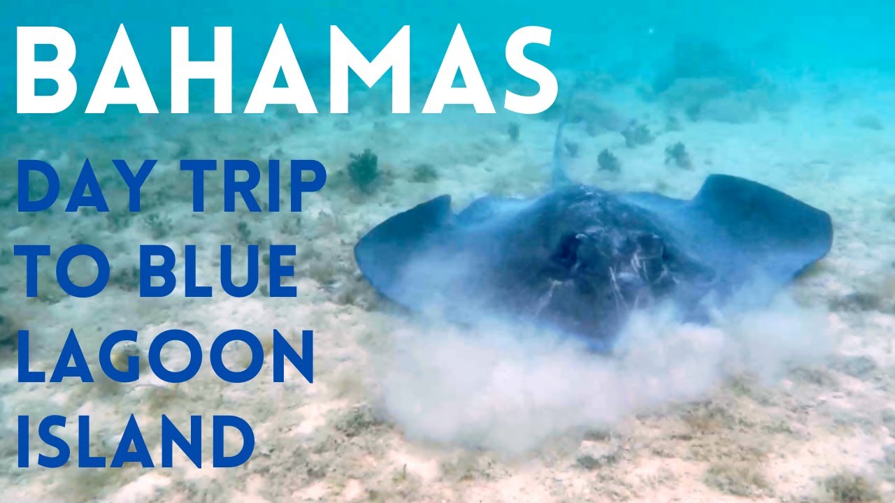 BAHAMAS BLUE LAGOON ISLAND DAY TRIP NASSAU CARIBBEAN - YouTube