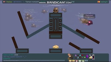 Transformice - First and Fail #2