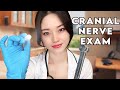 Asmr the cranial nerve exam