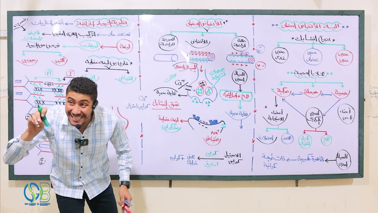 شرح تفصيلي (الانقباض العضلي) ثانوية عامة - أزهرية 2025م من داخل السنتر
