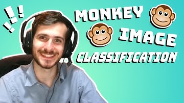 Simple Monkey Image Recognition - Data Every Day #067