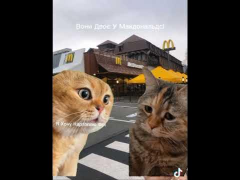 мак #youtube #youtubeshorts #shorts #плов #славаукраїні #героямслава # ...