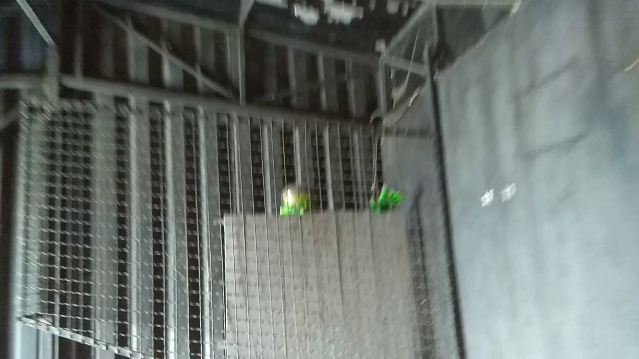 Τρενακι του τρομου magic park