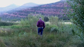 Banking on Wetlands