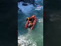 Les images du sauvetage spectaculaire d'un chien tombé d'une falaise ! |TF1 INFO