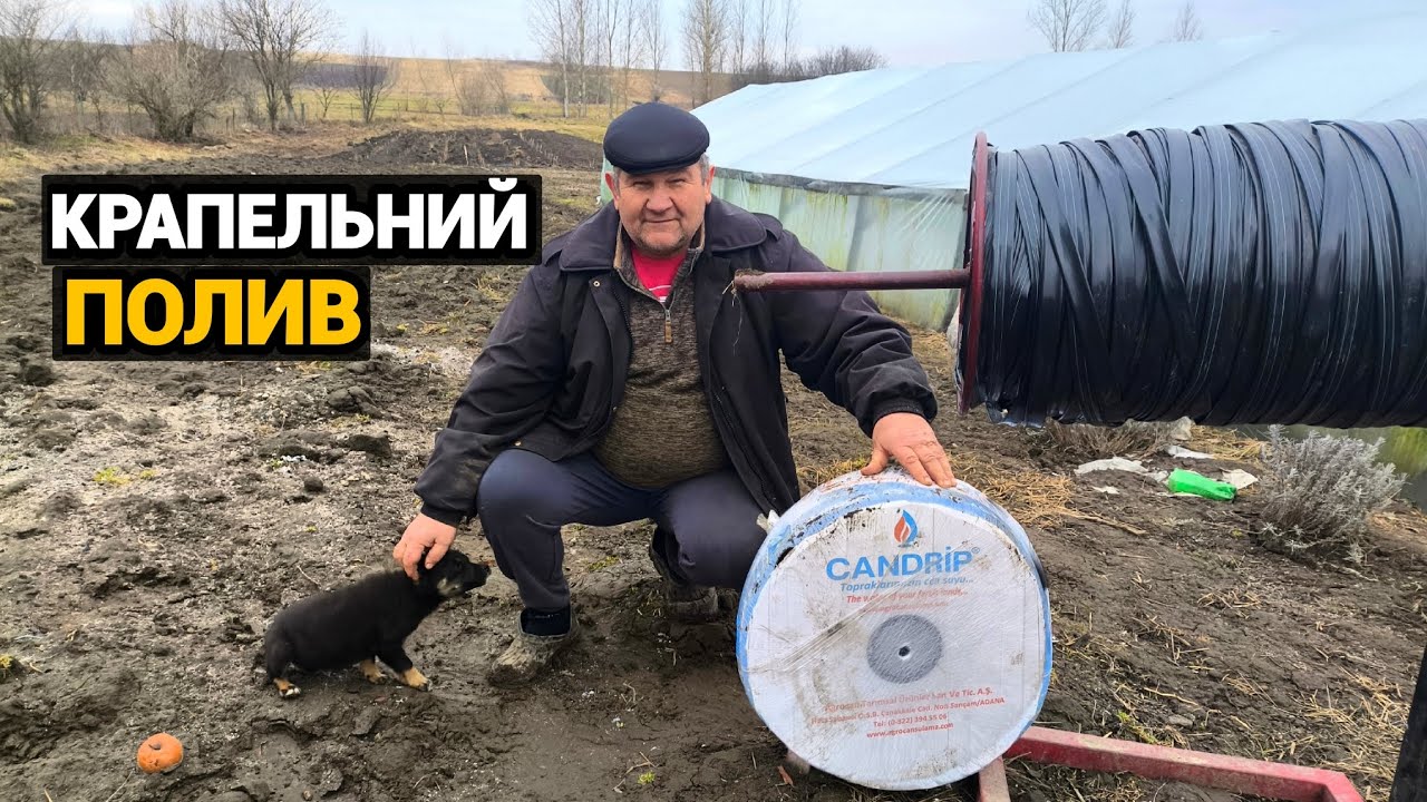 Крапельну стрічку, Яку ми використовуємо пару років, для поливу городу і теплиці.