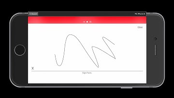 iSales 100 Business Edition