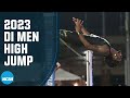 Mens high jump final  2023 ncaa outdoor track and field championships