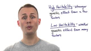 Limitations of Heritability - Tales from the Genome